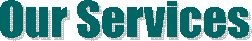 Our Services